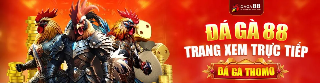 Sân đá gà trực tuyến sôi động tại T4WBET Nổ Hũ